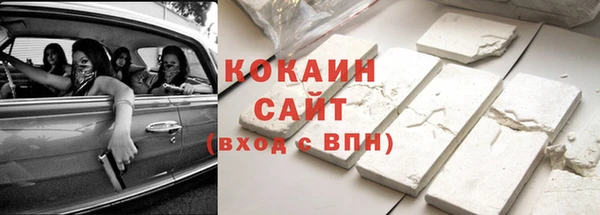 кокс Алексин