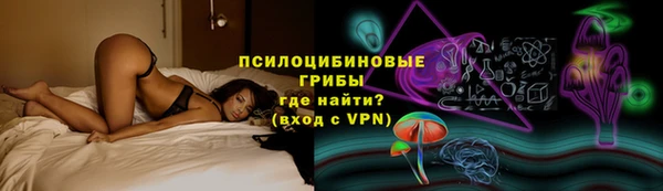 спиды Алексеевка